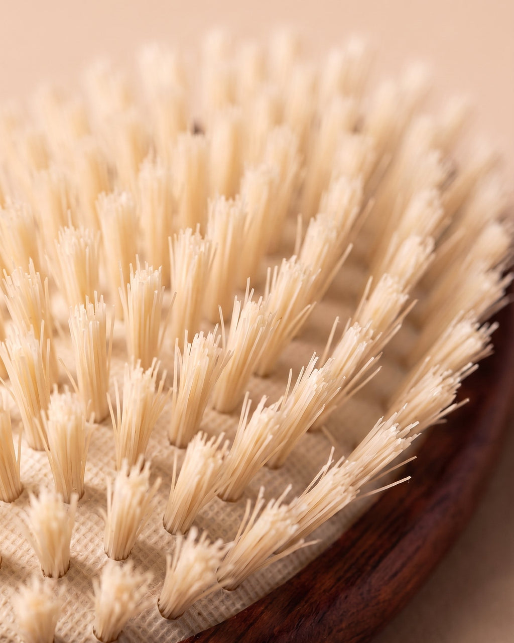 Close-up of wide-set boar bristle tufts with space between each tuft